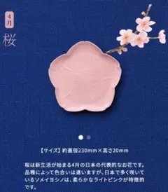 新品未使用　サントリー　金麦　花やか皿の大皿　桜　3枚セットのサムネイル