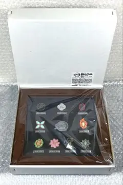 鬼滅の刃　鍔ピンズセット