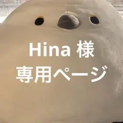 Hina 様専用ページ 他の方の購入不可
