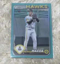 Item thumbnail for item 61353336-4f4d-4652-bb7f-5e8a9ef0ca17