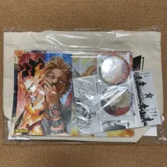 僕のヒーローアカデミア コンビセット エンデヴァー ホークス