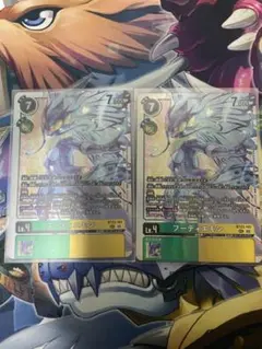 hackers slumber フーディエモン　sec ２枚