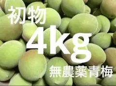 37 こじろう様　青梅　Lサイズ　12kg 37 こじろう様 青梅 Lサイズ 12kg - メルカリ