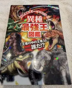 感謝祭★☆緊急値下げ☆★限界挑戦‼️様 リクエスト 2点 まとめ商品