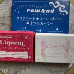 ニコラ　ニコ⭐︎プチ　キューーガル付録