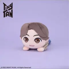 TinyTAN 寝そべり ぬいぐるみ JUNGKOOK