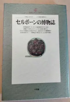 Item thumbnail for item 8f258dd2-e74b-44b8-9610-7c89c50c4045