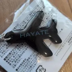 Da-iCE TERMiNaL カプセルトイ 飛行機アクリルキーホルダー 岩岡徹