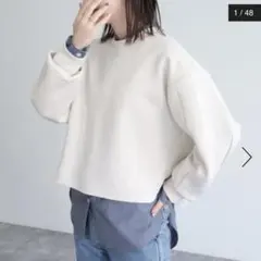 フレディエミュ★ポンチ後ろZIPプルオーバーカットソー