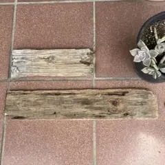 Item thumbnail for item c7398331-f6ed-4610-826a-865668a9ec27