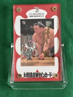 大相撲 大の里 横綱ver 直筆サインカード ベースボールマガジン BBM 