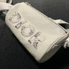 Dior ×ダニエルアーシャム レザー ローラーバッグ ショルダーバッグ ディオール×ダニエル・アーシャム ローラーバッグ レザー