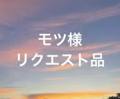 モツ(プロフをご覧下さい)様 リクエスト 3点 まとめ商品