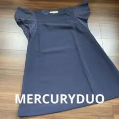 Item thumbnail for item e4bf90f8-17db-4684-b7b9-20a226a8f30a