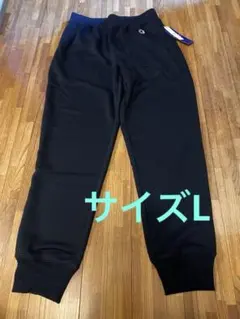 チャンピオン Champion スウェットパンツ C3-YS250 ネイビー　L