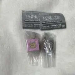 PEANUTS ビスケットミニチュアチャーム ガチャ スヌーピー