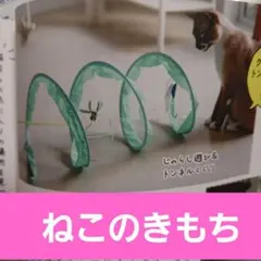 ※値下げしました！【ねこのきもち】猫用トンネル型おもちゃ ミントグリーンのサムネイル