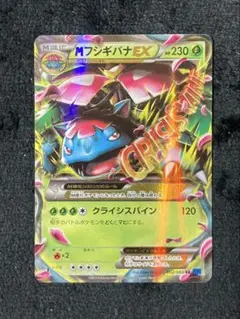 Mフシギバナ EX XY1 002/060 psa10 MフシギバナEX RR XY1 コレクションX 002/060 - メルカリ