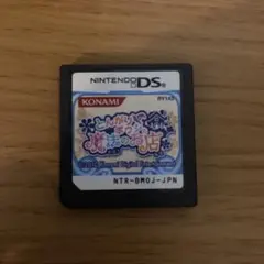 Nintendo DS とんがりボウシと魔法のお店