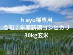 h ayu様専用■令和７年産　新潟コシヒカリ３０kg玄米