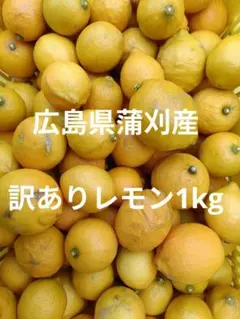 訳あり！！　広島県蒲刈産　レモン1kgのサムネイル