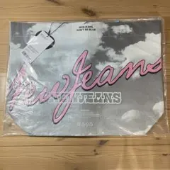 Item thumbnail for item 4c04684a-c54d-4adb-a8f4-f592b610e7c0