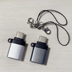 特価❤️ライトニング to Type C 変換アダプタ ミニサイズ 2個セット