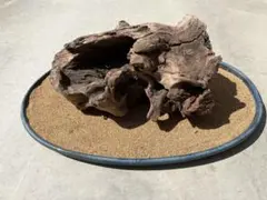 縄文時代の石皿、石斧、土器破片 - メルカリ