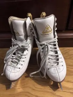 Item thumbnail for item 130b660d-ba5d-4120-a4c2-0a0d8c0a832a