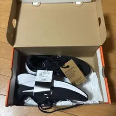 Nike ウィメンズ　レボリューション 7