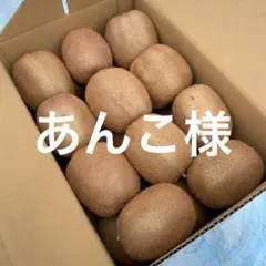 あんこ様専用【二級品】和歌山県産キウイフルーツ 3L 22個入り　2箱