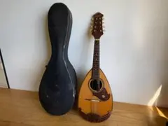 Suzuki M-210 Mandolin スズキ マンドリン ハードケース付き - メルカリ