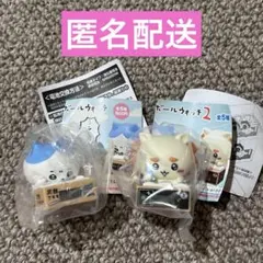 ちいかわ ダンボールウォッチ　ハチワレ(お絵かき) シーサー(お酒の資格)