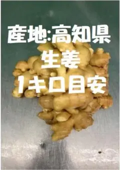 赤生姜 しょうが 種 2kg 高知県産 - メルカリ