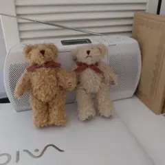 テディベア ぬいぐるみ 2体セット
