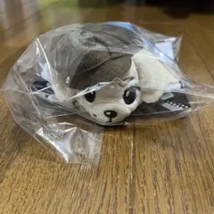 Item thumbnail for item 2d465484-b21b-490f-af64-93215aa84b0d