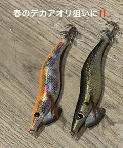 2026年最新】エギ・餌木の人気アイテム - メルカリ