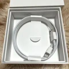 iPhone 正規品 充電器 ライトニングケーブル