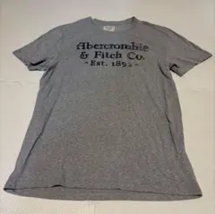 アバクロ Abercrombie&Fitch ロゴTシャツ グレー メンズL半袖