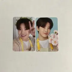 treasure blooming ジュンギュ トレカ