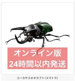 オンライン版　いきもの大図鑑アドバンス　コーカサスオオカブト　スマトラ
