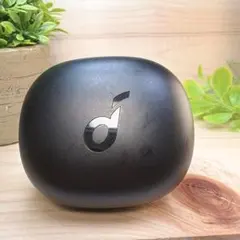 ANKER Soundcore Life P3ケースのみ