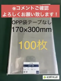 WASP ☆プロフ必読！様 リクエスト 2点 まとめ商品