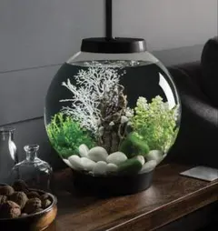 ベビーバイオーブ水槽15Lのサムネイル