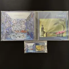 P-MODEL / KARKADOR / ONE PATTERN【2枚セット】 P-MODEL 80年代の2作品『KARKADOR』『ONE PATTERN』がアナログ盤とCD