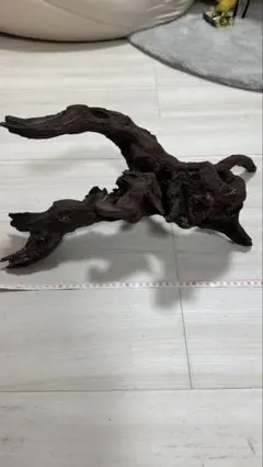 2025年最新】ホーンウッド adaの人気アイテム - メルカリ