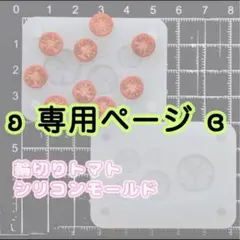 vivi miniature⭐️様 リクエスト 2点 まとめ商品