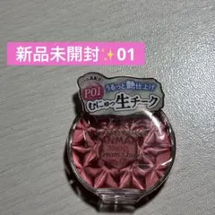 「未使用品」キャンメイククリームチークp01