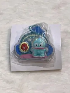 サンリオ　パッケージチャーム1点　ハンギョドン