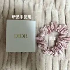 24日まで【非売品】Dior ノベルティシュシュ